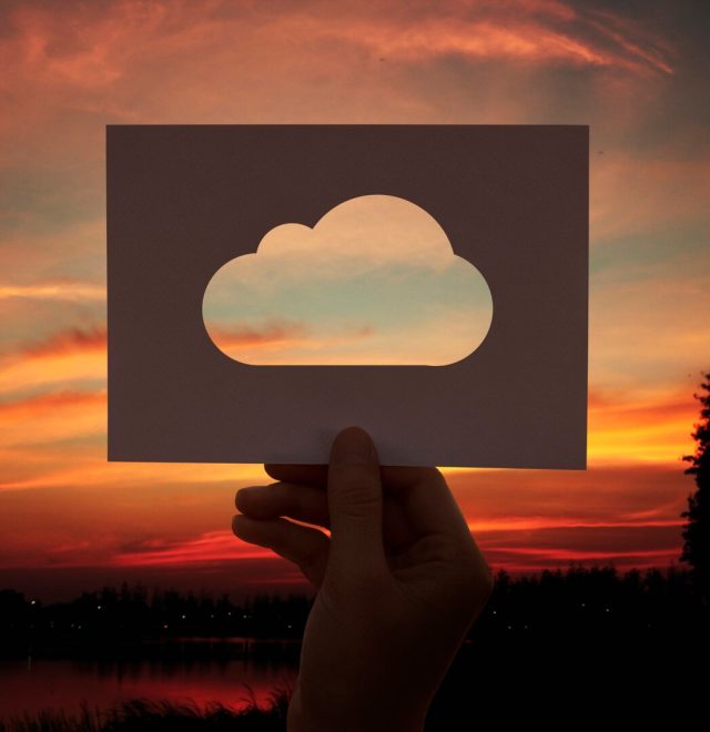 SAP ERP Cloud Private