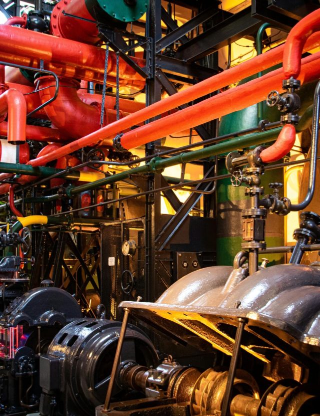 pexels-magda-ehlers-pexels-2569839 (1)