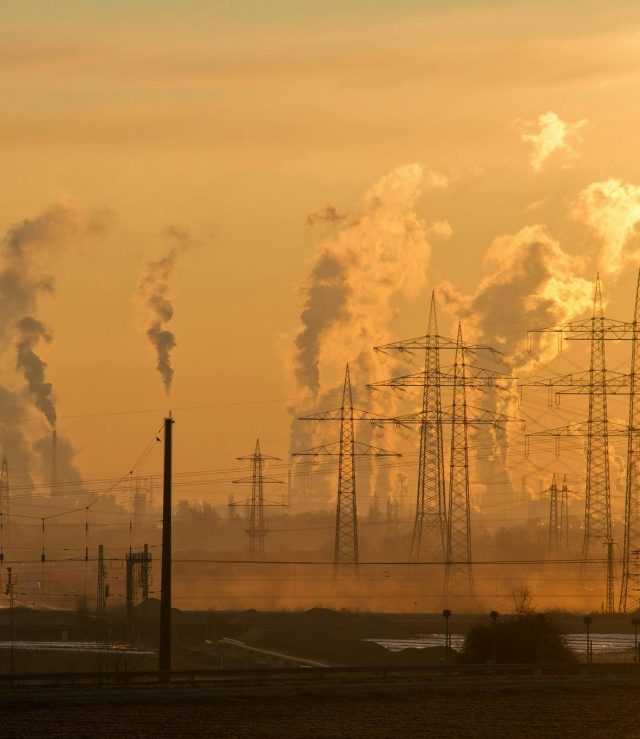 pexels-pixabay-221012